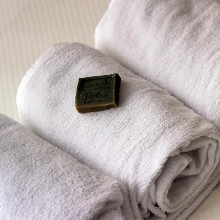 Gospodarstwo wiejskie 3 Avec Hammam, Sauna Et Jacuzzi A - Fr-1-496-8