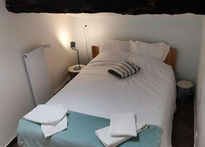 3 Avec Hammam, Sauna Et Jacuzzi A - Fr-1-496-8 * Cellieu