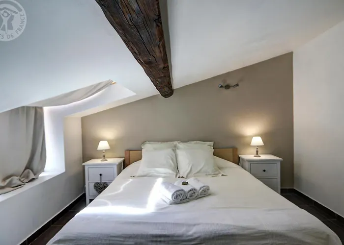 Vakantiehuis 3 Avec Hammam, Sauna Et Jacuzzi A - Fr-1-496-8 Cellieu